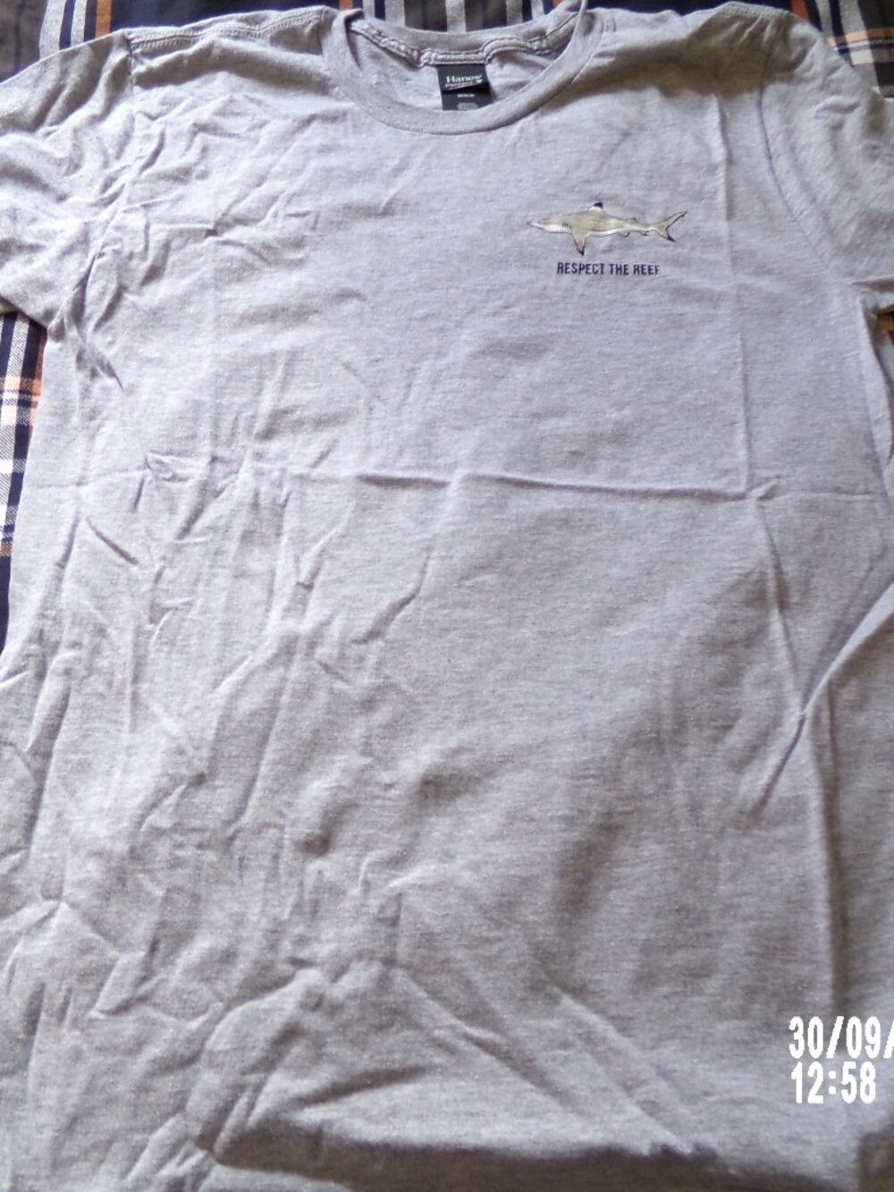 Grey shark t-shirt size M